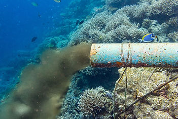 ROV Environmental impact