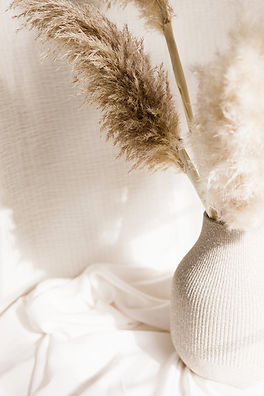 Styled Stock Society Dreamy Backdrops 24.jpg