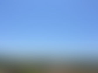 Sophia Grimm Just Back From Martha's Vineyard