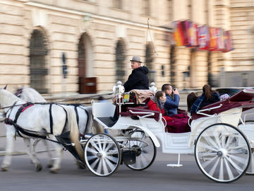 Advisor Elizabeth Cincotta Just Back From Austria – Vienna and Salzburg
