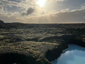 Elizabeth Cincotta Just Back From Iceland