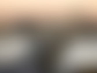 Lisa Devaney Just Back From Danube River Cruise