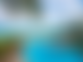 Elizabeth Cincotta Just Back From Turks and Caicos