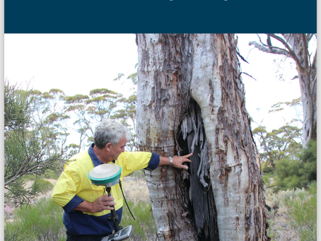Discovering Archaeology Sites via Survey Analysis