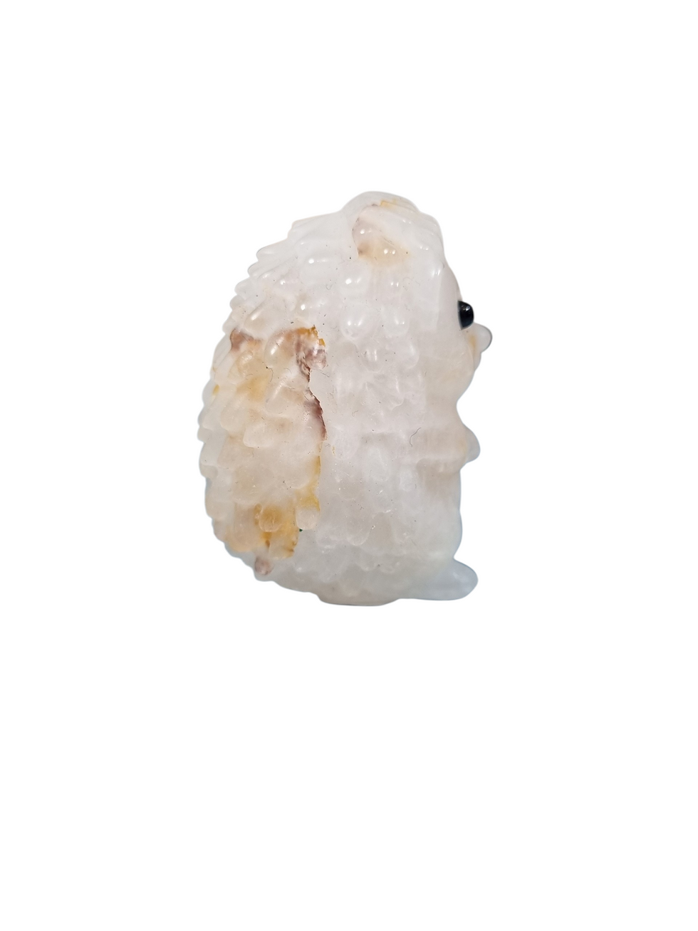 Thumbnail: Hedgehog, quartz and Golden healer