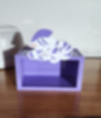 Zebra Money Box Acrylic Personalised