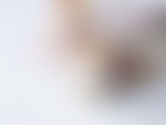 EASTER MEALS FOR HOMEBOUND NEIGHBORS