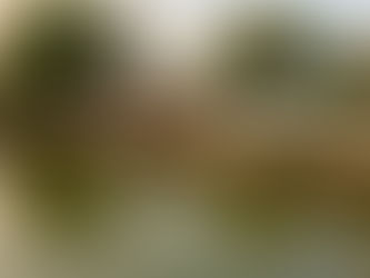 Common Causes of Seawall Failure and What You Can Do to Prevent It