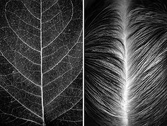 Visual-Exercises-A-Series-of-Diptychs-5c6ab800c5185__700-1.jpg