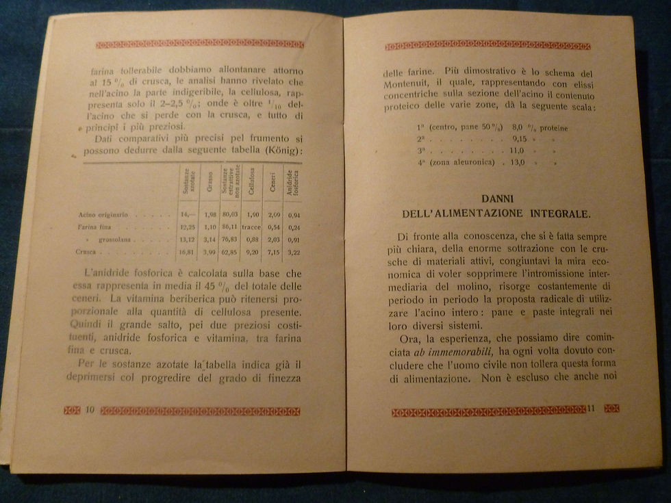 Miniatura: E. Centanni - La reintegrazione chimica degli alimenti - 1919