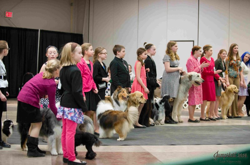Interested in becoming a Junior Handler?