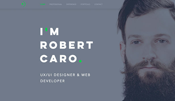 Web Developer Portfolio Website Templates