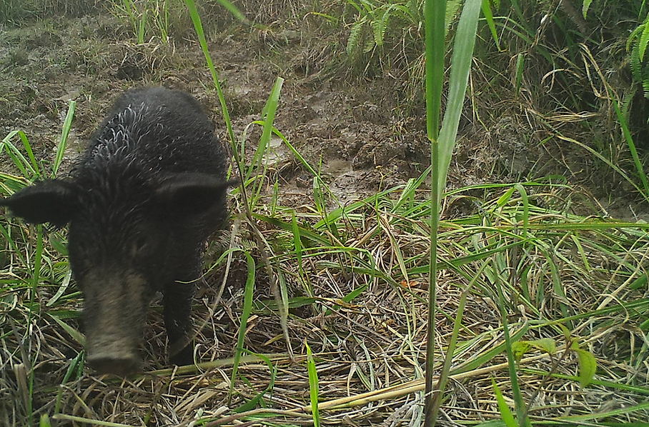 Screenshot 2025-06-18 at 3.17.46 pm.png