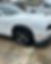 17867060157084413.jpg