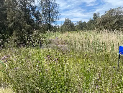 Sydney Eco Land Clearing - Projects - Kelso Sustainable Recovery Facility - Before