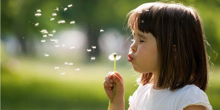 BBA-Bye-Bye-Allergie-2.jpg