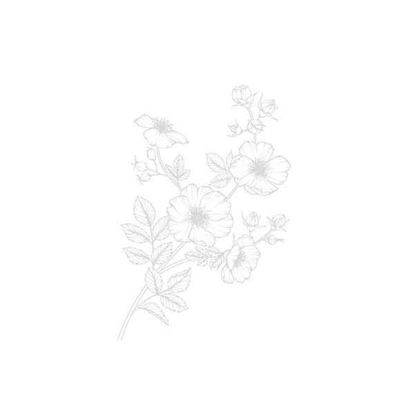 Flower Branch _edited.jpg