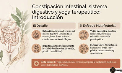 consti.jpg