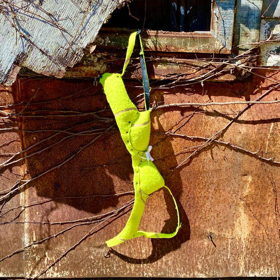 Sports Bra (34 LOVE)
Tennis Ball, Metal Eyelets, Clamp Rings, Wire, Shoelaces 