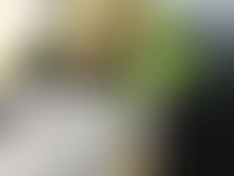 1月お花の教室ご案内