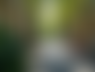 Uncovering the Similarities Between Frankfurt Neighborhoods and Their New York Counterparts