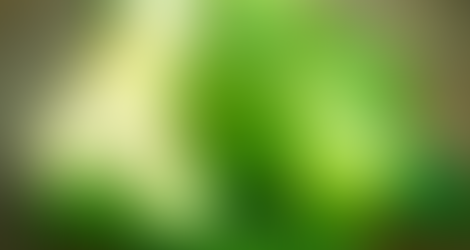 5 Receitas de Suco Detox Com Couve Para Emagrecer