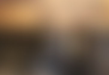 Heyecanla Beklenen ‘Ceviz Ağacı’ Filminin Galası Gerçekleşti…