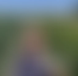 Honouring the In-Between: The Art of Transition