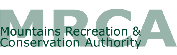 MCA-e1726870265481-1024x319.png