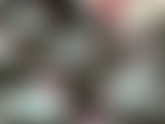 Rebel Martini Fabric