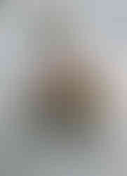 Brautstrauß Hochzeit Wiesenblumen Picknick