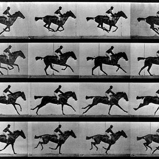 chevaux-muybridge-sos-photos-traitement-image-retouche-editing-prise-de-vue.jpg