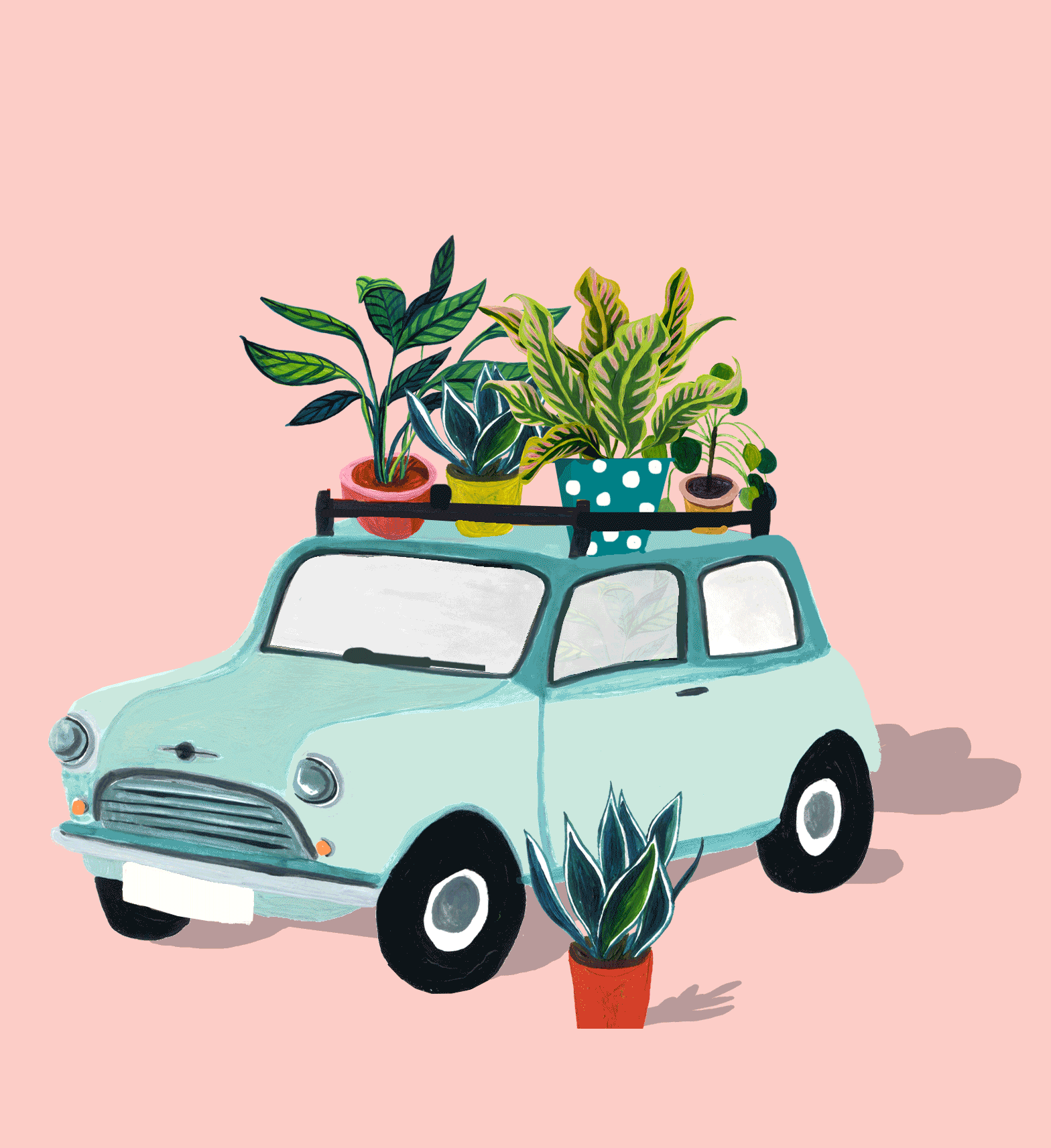 MINI-WITH-PLANTS.gif