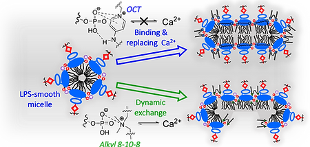 OM ms1 JCIS graphic ToC.png