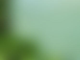 How to Choose Longlasting Exterior Paint for Humid Climates