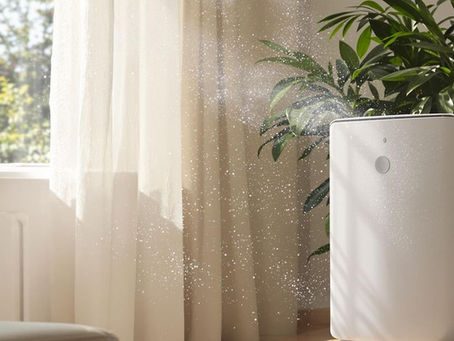 Choosing the Right Air Purifier for Summer Allergies