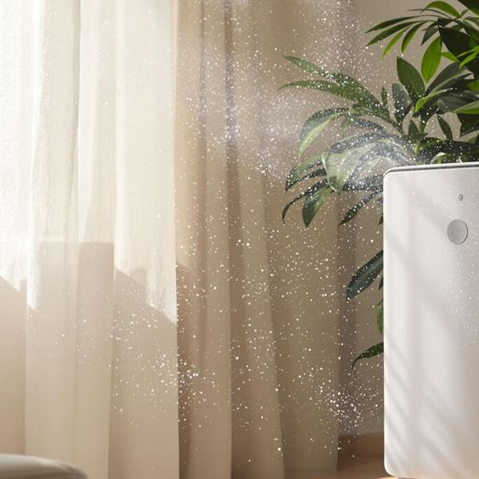 Choosing the Right Air Purifier for Summer Allergies