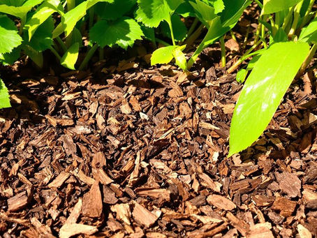 Benefits of Mulch Installation in the Summer Season