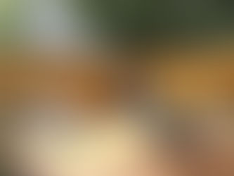 Creating a Backyard Oasis with Deck and Fence Installations