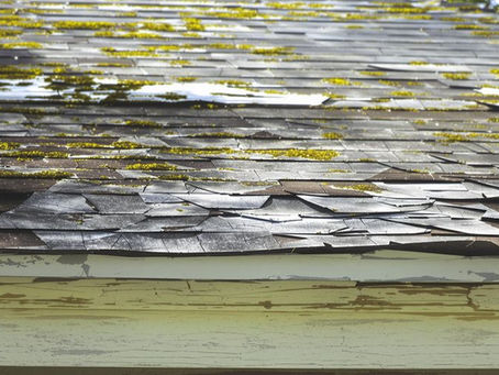Signs You Need a Roof or Siding Inspection in June
