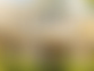 Unlock Big Savings This Summer with Nevarez Painting LLCs Seasonal Discounts on Residential Projects Over 4500 Dollars