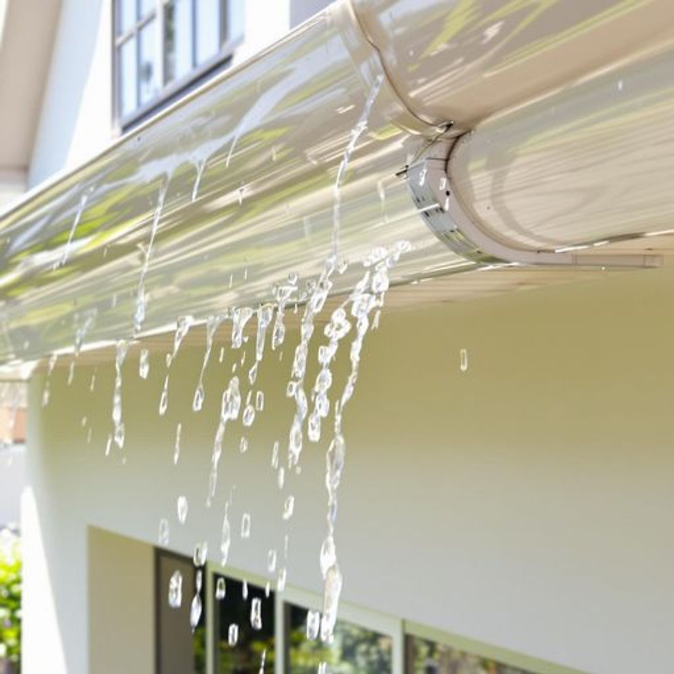 Protecting Your Home with Quality Gutter Systems