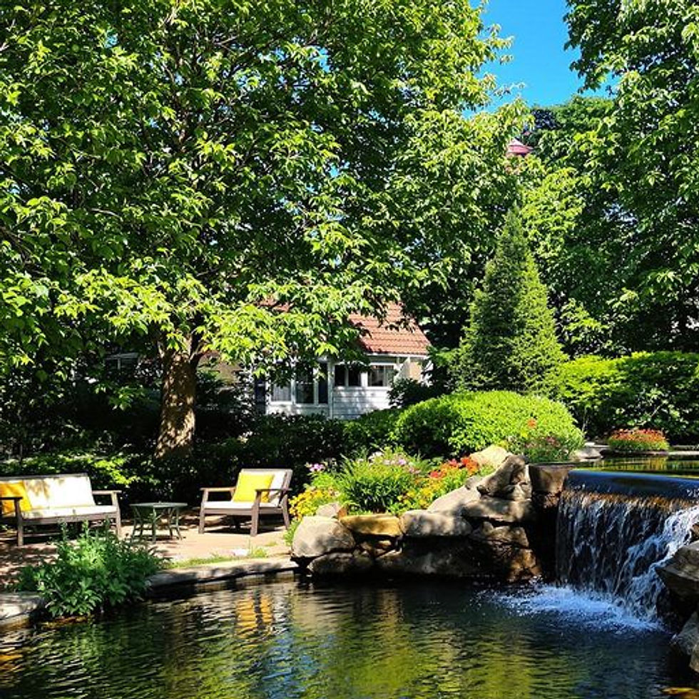 Creating a Cool Summer Retreat with Landscaping Elements