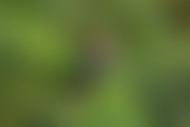 Rain or Shine: Why Vista Los Sueños is the Best All-Weather Adventure Park