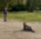 photo-output.jpeg