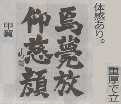 毎日新聞掲載作品