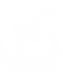 Leta Financial logo – Fractional CFO and accounting services