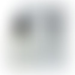 LABORATORIO OLFATTIVO presenta PROFUMO DI PRIMAVERA