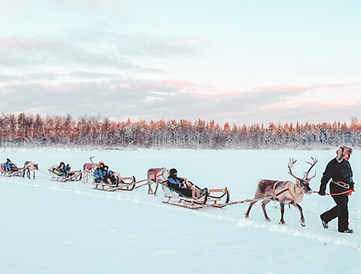 reindeer sledding.png