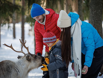 Family in reindeer farm